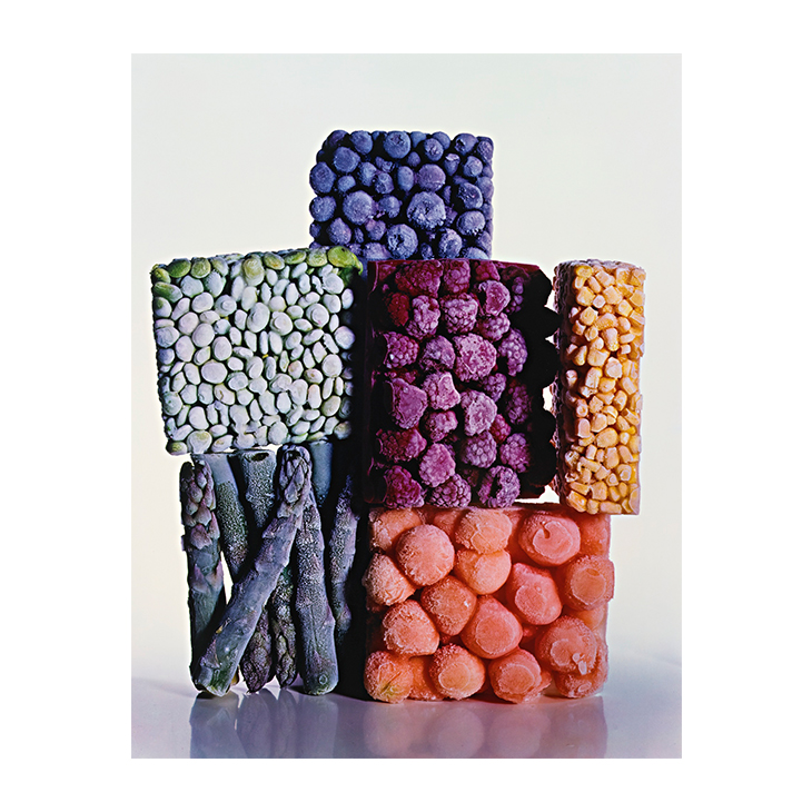 Frozen Foods, New York City, by Irving Penn, edition of 33