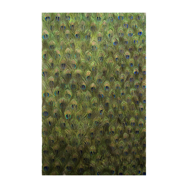 Untitled (Peacock Feathers on Linen), Carol Bove, 2011