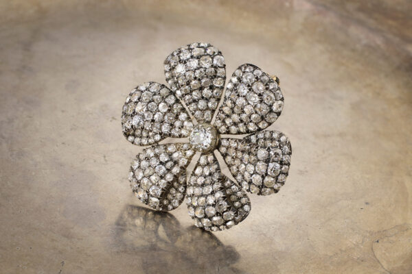 Shop Brooches -