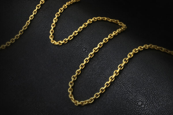 High Karat Gold Long Chain Necklace