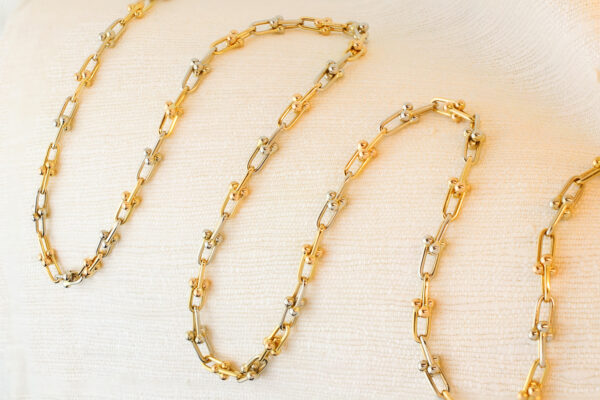 Bi-Colored Gold Fancy Link Long Necklace